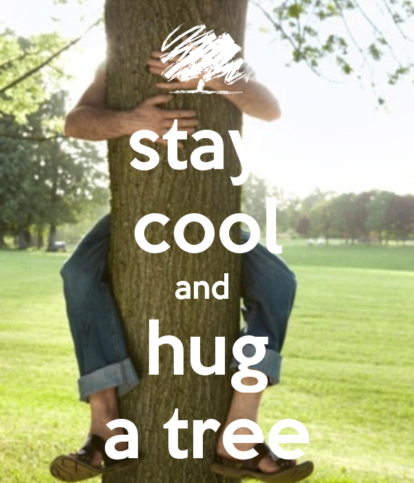 Tree Hugger Meme