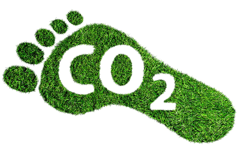 Minimizing Your Carbon Footprint And Holding Most Companies Accountable